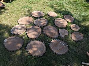 (15) Cookie Dried Log Slices - Mostly BLACK WALNUT - Sizes up to 17 Diameter x 1 Thick