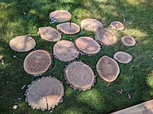 (15) Cookie Dried Log Slices - Mostly BLACK WALNUT - Sizes up to 16 Diameter x 1 Thick