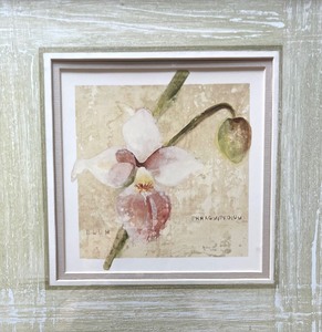 lot 27 image: Fabulous Floral Framed Art Print by Cheri Blum
