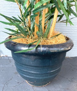 lot 90 image: Pretty Potted Faux Bonsai Tree