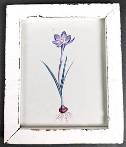 lot 54 image: Two Original Botanical Watercolor Prints in White Frames