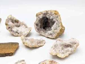 Dinosaur Bone Slab, Mexican Crazy Lace Agate, Zircon, etc