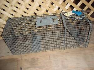 Live Trap for Bigger Animals