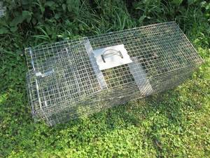 161642 live trap...