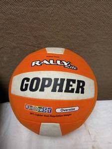 lot 53 image: (5) RAINBOW RALLY VOLLEYBALLS