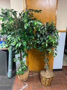 lot 87 image: 2 Fake Trees
