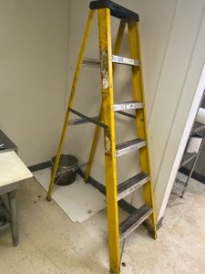 lot 41 image: Ladder