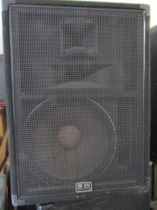 Peavey Speaker