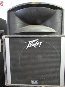Peavey Speaker