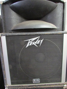 Peavey Speaker