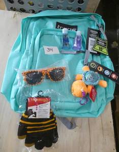 Backpack, gloves, sunglasses and hand sanitizer