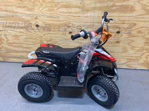 RAZOR DIRT QUAD 24V Electric 4-Wheeler ATV
