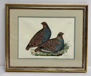 lot 279 image: Quality Vintage Framed Colored Etching - Partridges