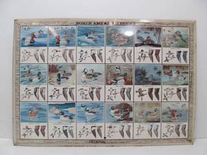 lot 143 image: Vintge 1970s era FEDERAL AMMUNITION Duck Hunting Metal Sign