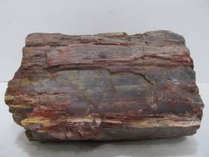 lot 205 image: Large Chunk of Petrified Wood