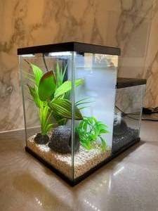 Cute little double fish tank with filter. Appears to be for beta fish Tested and works.