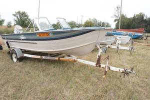 lot 72 image: Sylvan boat, EZ Loader trailer and Evinrude motor