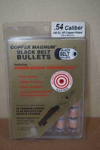 lot 157 image: 20 Black Belt Copper Magnum .54 Cal 348 Gr HP Copper Plated Bullets