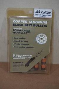 lot 158 image: 20 Black Belt Copper Magnum .54 Cal 348 Gr HP Copper Plated Bullets