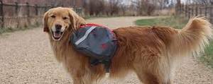 lot 112 image: Mountainsmith K9 Pack -Large