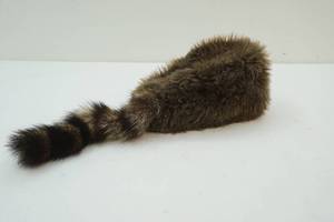 lot 78 image: vintage Davy Crockett style raccoon skin hat