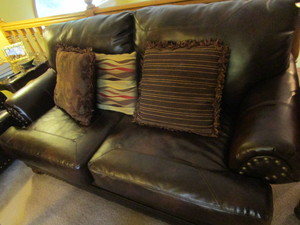 Leather 2 Cushion Loveseat