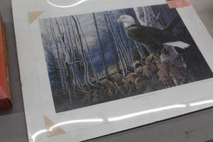 lot 819 image: Northern Splendor Bald Eagle by Donald Blakney #652500 Signed&Numbered Limited Edition Print , Unframed