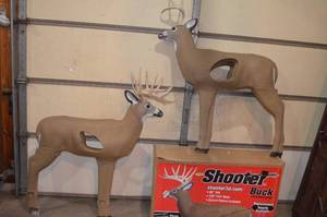 Sportsman 297