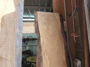 Red Elm Wood Slab 3x89x17