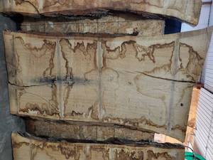 White Oak Slab 3x76x40