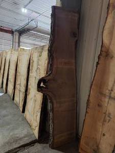 White Oak Slab 3x104x34