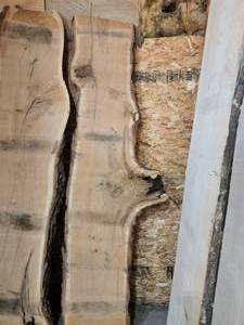 White Oak Slab 3x810x33