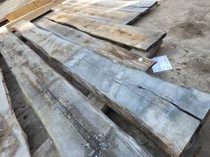 White Oak Slab 5x171x20