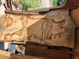 White Oak Slab 3x75x30