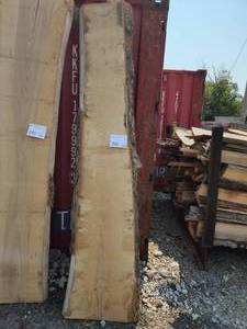 Hard Maple Slab 3x102x23