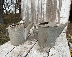 lot 20 image: Antique Watering Cans
