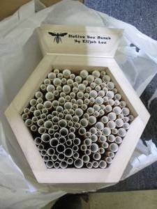 lot 507 image: native bee ranch ...