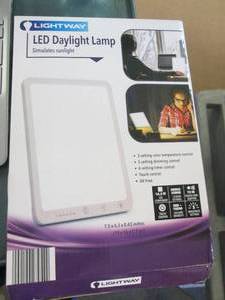 lot 143 image: LED daytime lamp ...