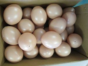 lot 146 image: box of fake eggs ...