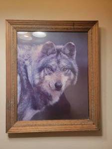 lot 114A image: Vintage 1993 Framed Wolf Print by Mike Biggs 22 X 24