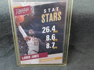 33. 207-18 Prestige LeBron James Ca...
