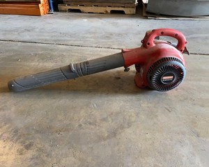 lot 321 image: Leaf Blower