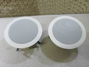 lot 165 image: (F-3) Pair Boston DSi455 Ceiling Mo...