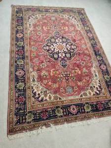 Elegant Oriental Wool Area Rug