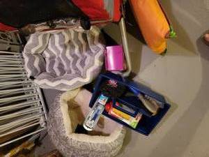 Awesome Bike Pet Carrier and Supplies Kit