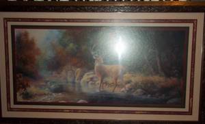 Buck Deer in Forest