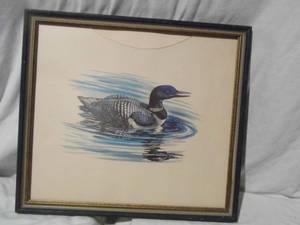 Loon