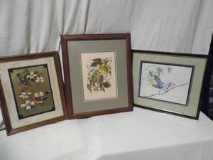 Bird Prints