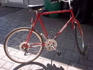 12 Speed Bike