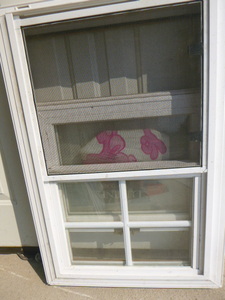 Simonton Double Hung Window